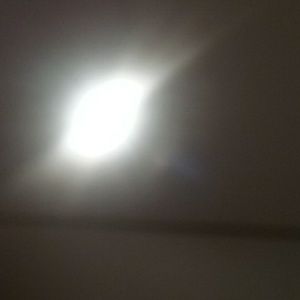 Meet your Posher, Amelia